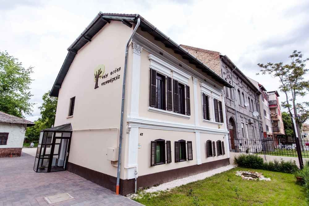 Bed and Breakfast Vén Diófa De Lux Panzió Szeged Exterior foto